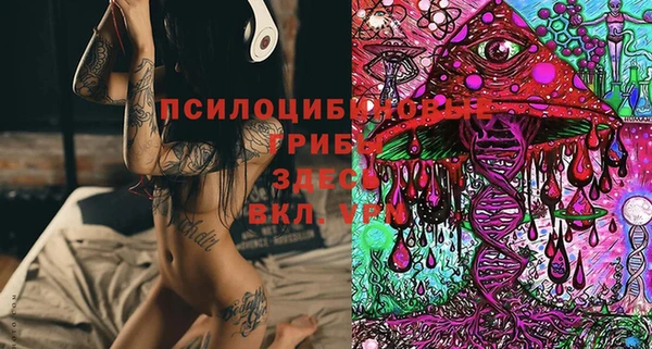 ECSTASY Армянск