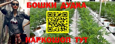 гидропоника Гусь-Хрустальный