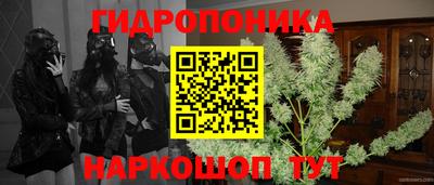 гидропоника Гусь-Хрустальный